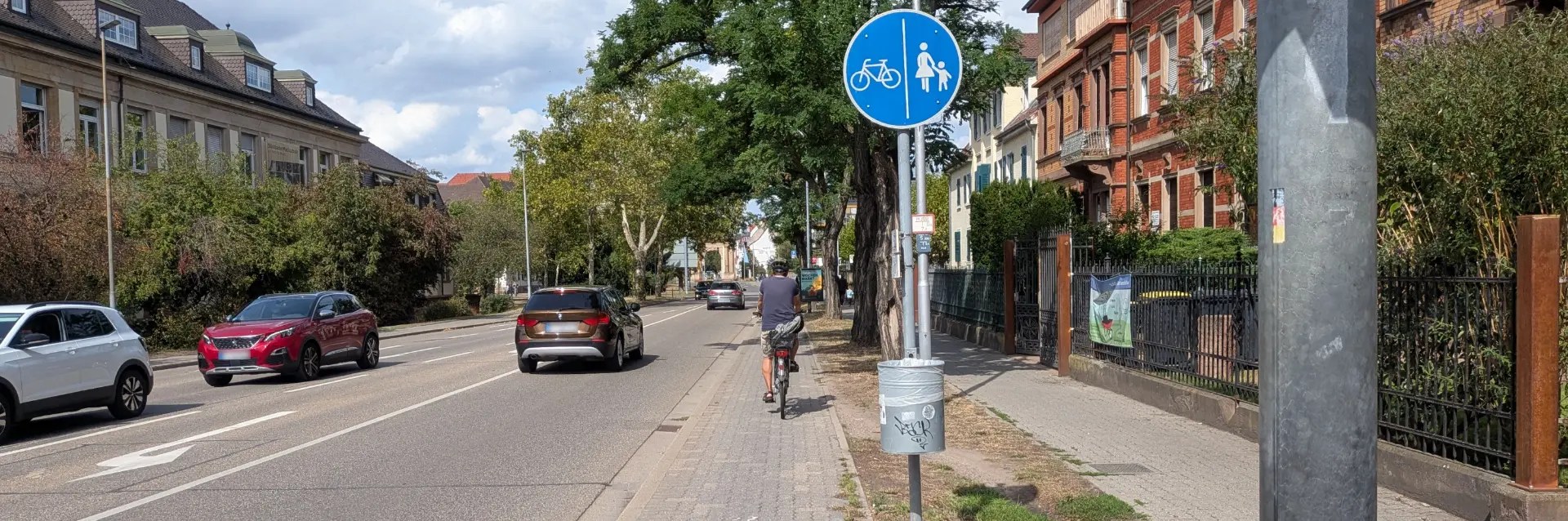 Getrennter Geh- und Radweg entlang einer Straße in Frankenthal